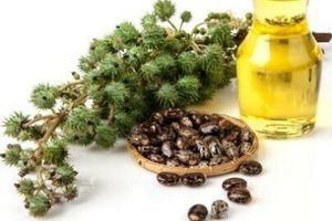 Касторова олія для вій фото